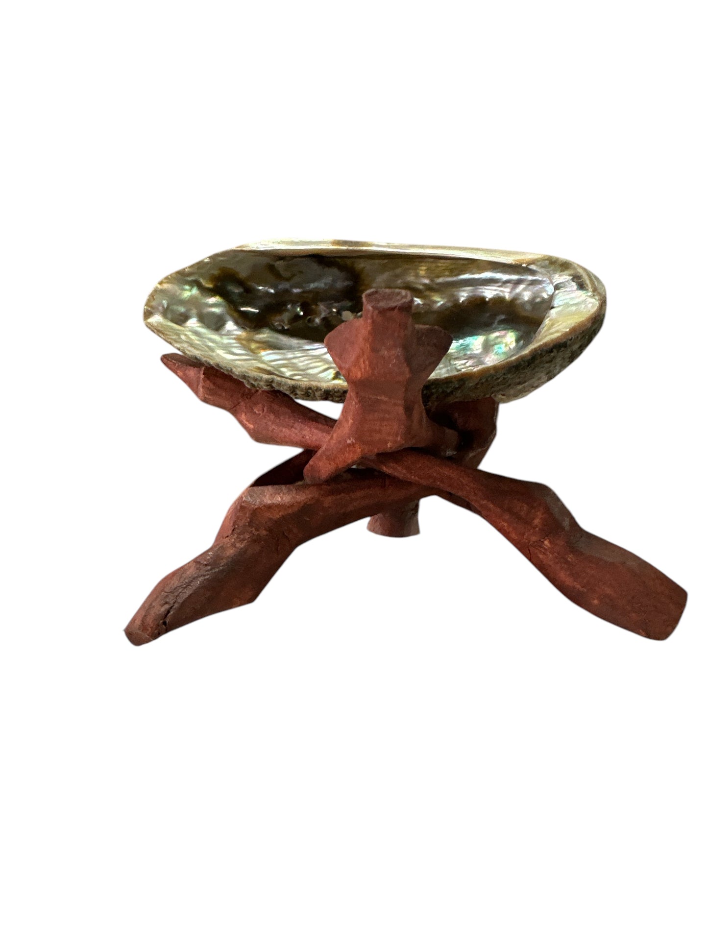 Shell with wooden base incense burner