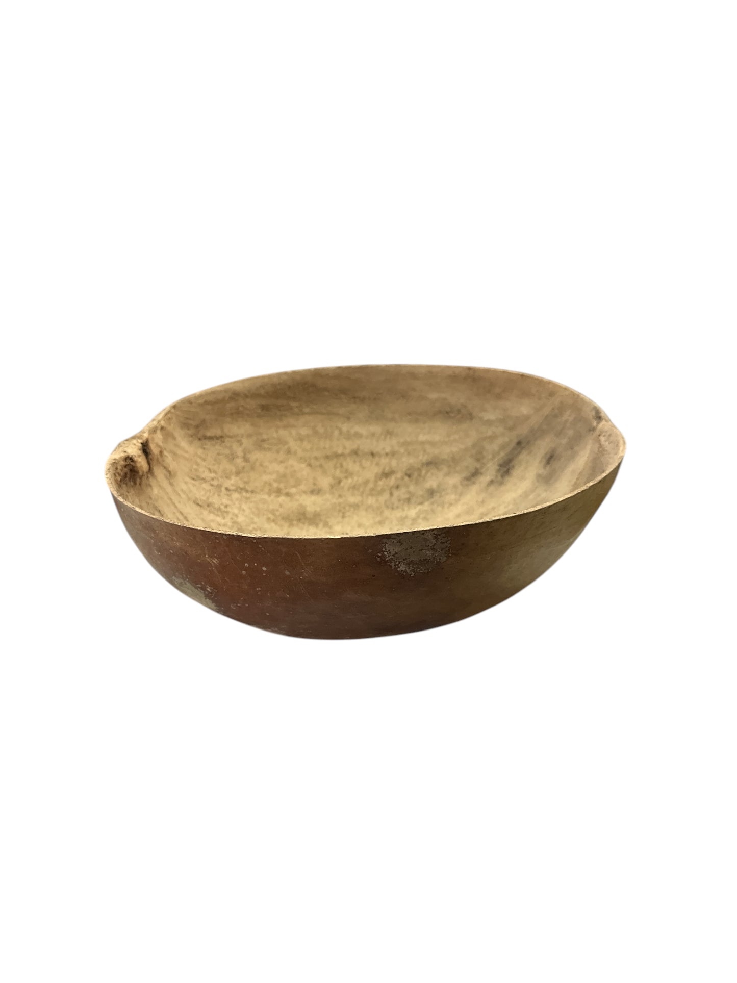 Gourd Jicara 8"-10"