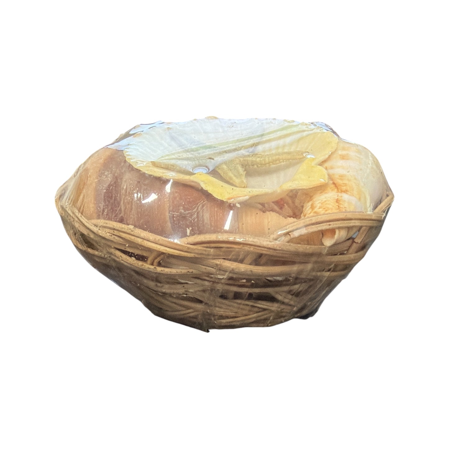 Shell Basket (Religious Use and Spiritual Decor) 4" diameter