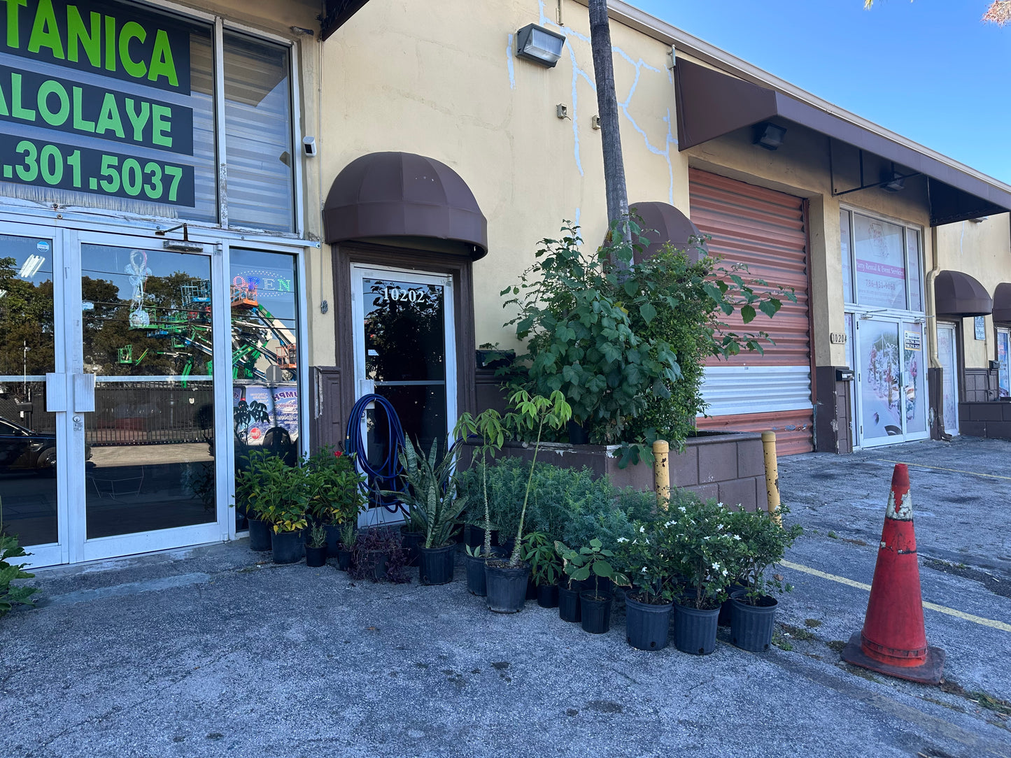 Opener Road Plant (Abre Camino)