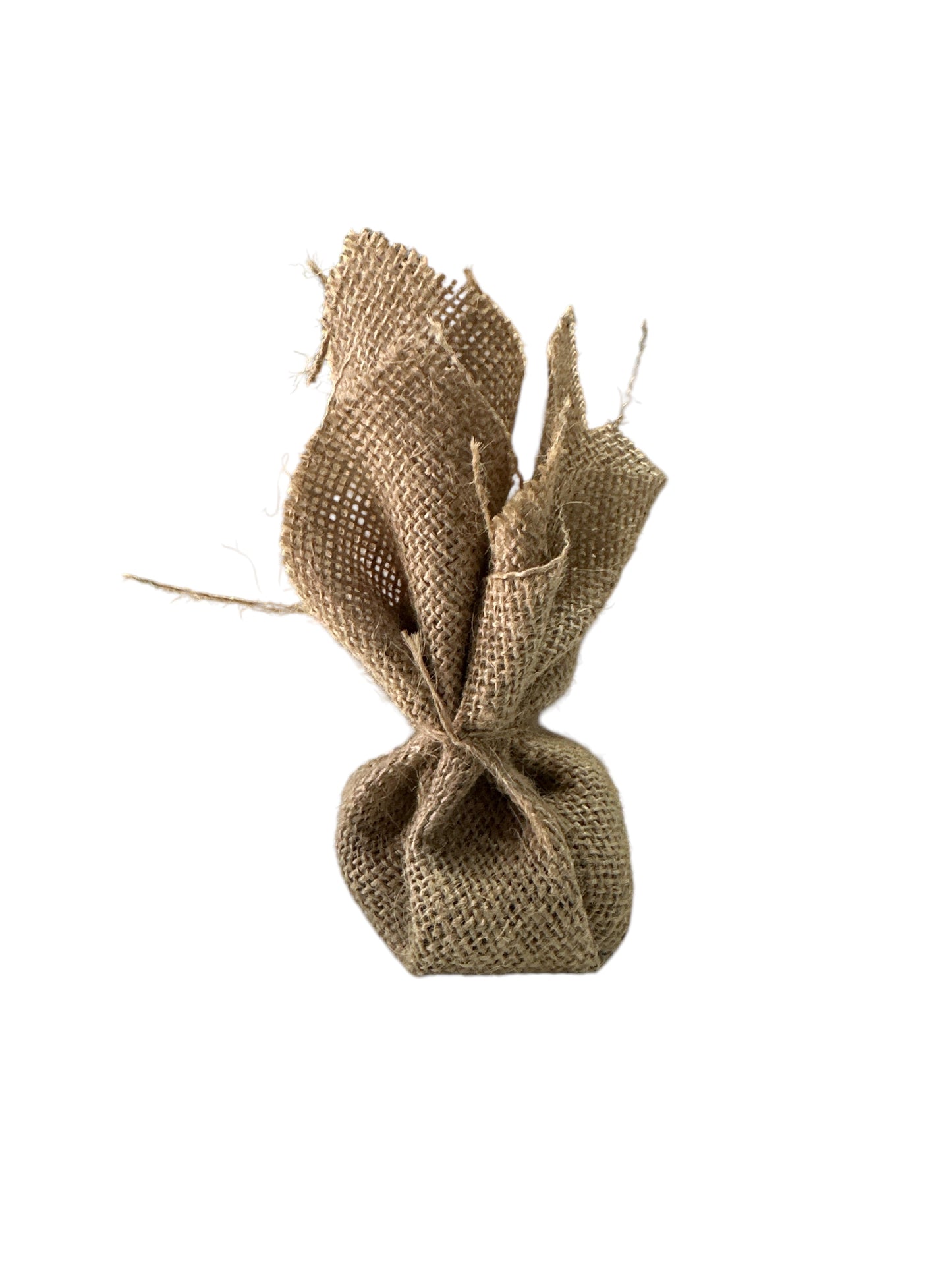 Saint Lazarus Minister in sack bag (Miniestra)