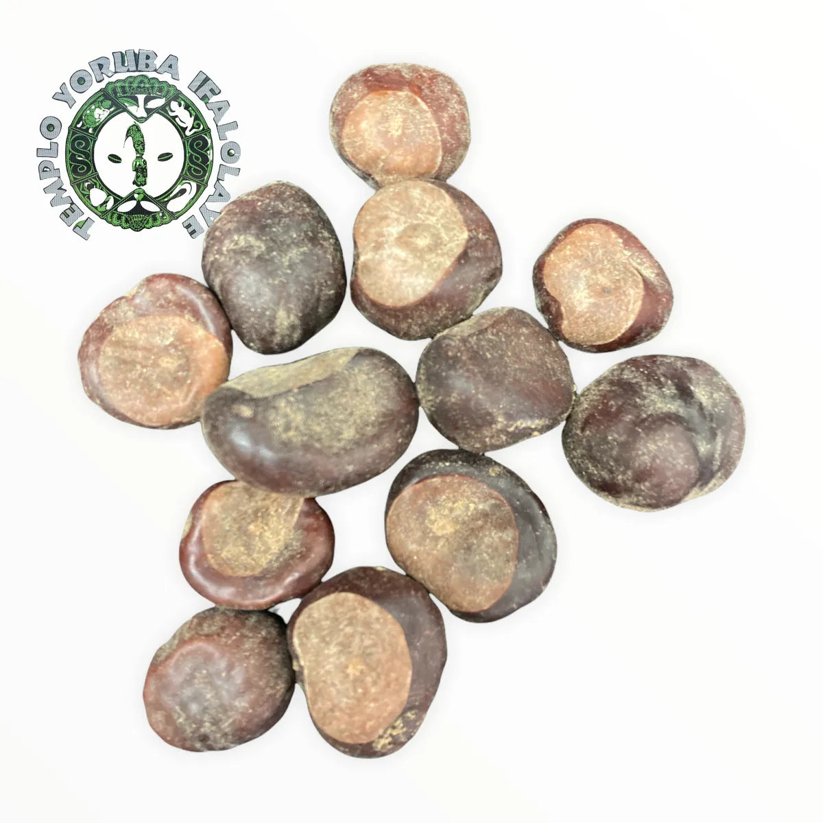Ox's eye seed