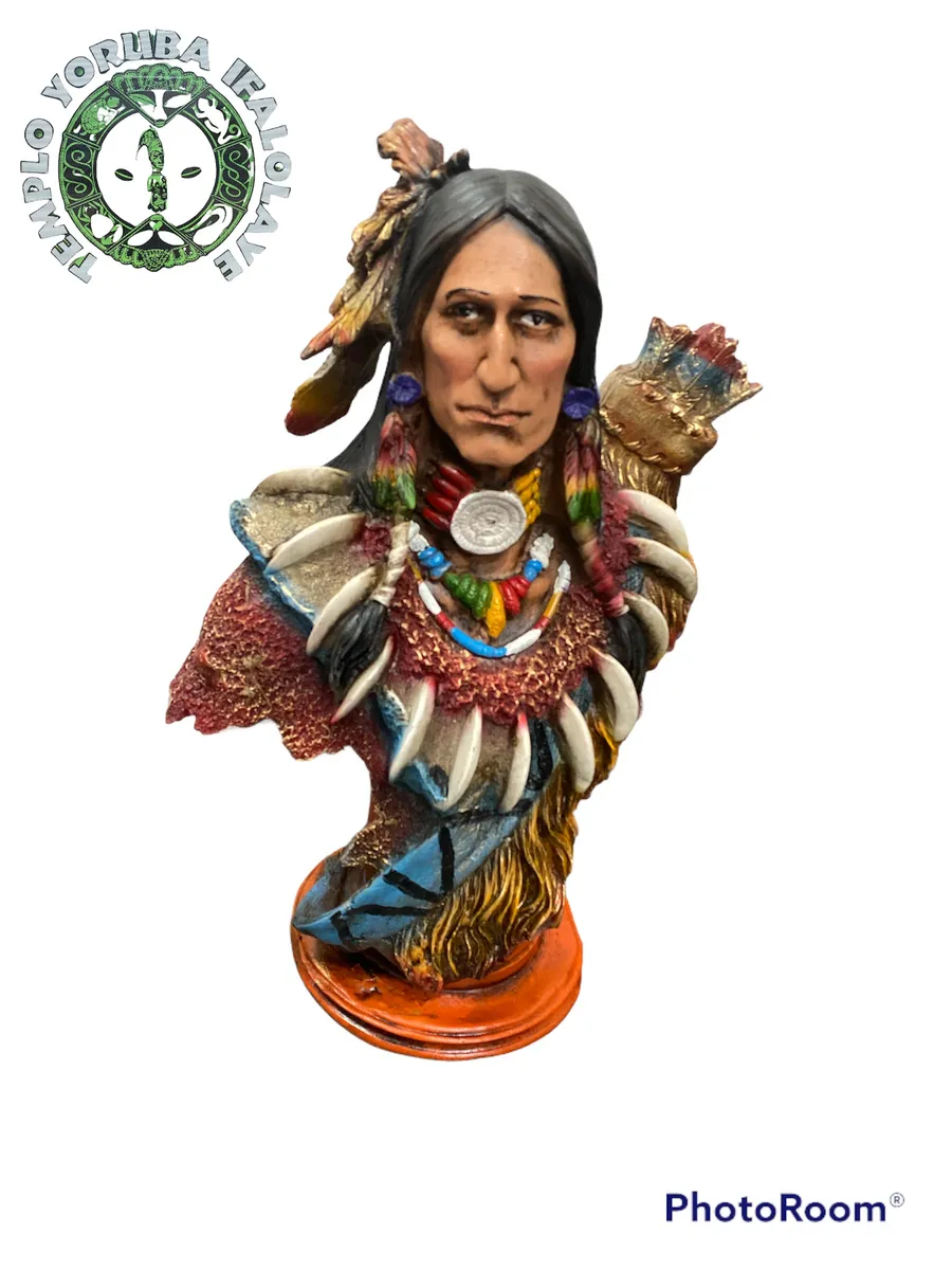 Indian Bust Image 18"x 12"