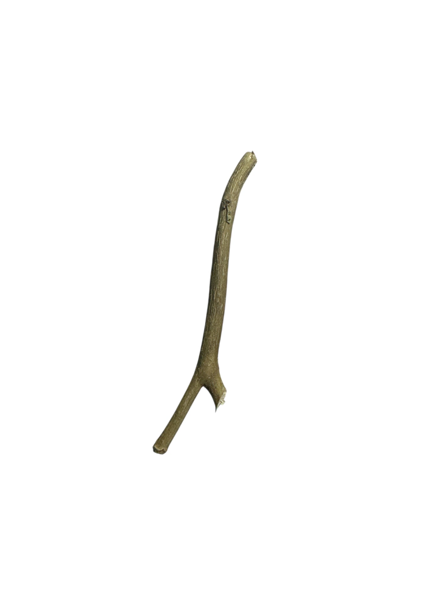 Stick 2"-6"