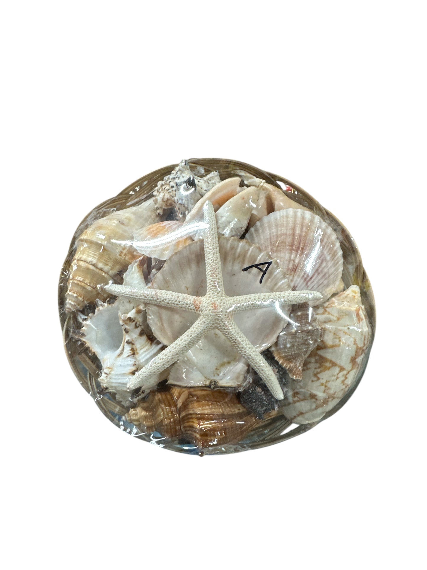 Olokun Snail Basket (Carga Olokun)