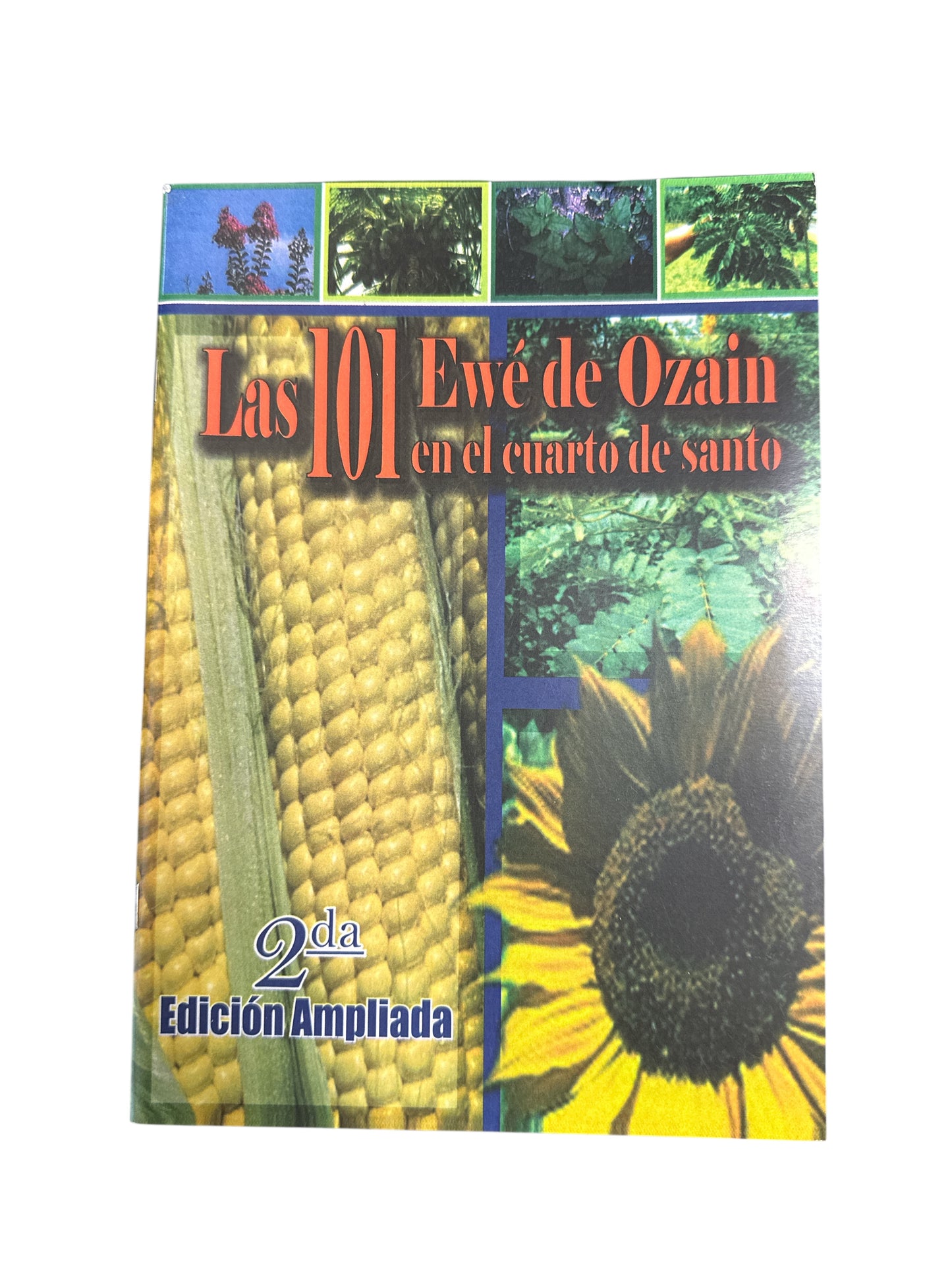 Book The 101 Ewe of Ozain in the Santo room