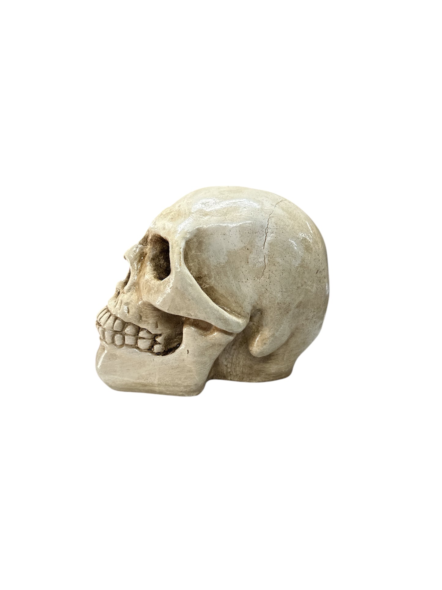Plaster Skull (Calavera) 7"