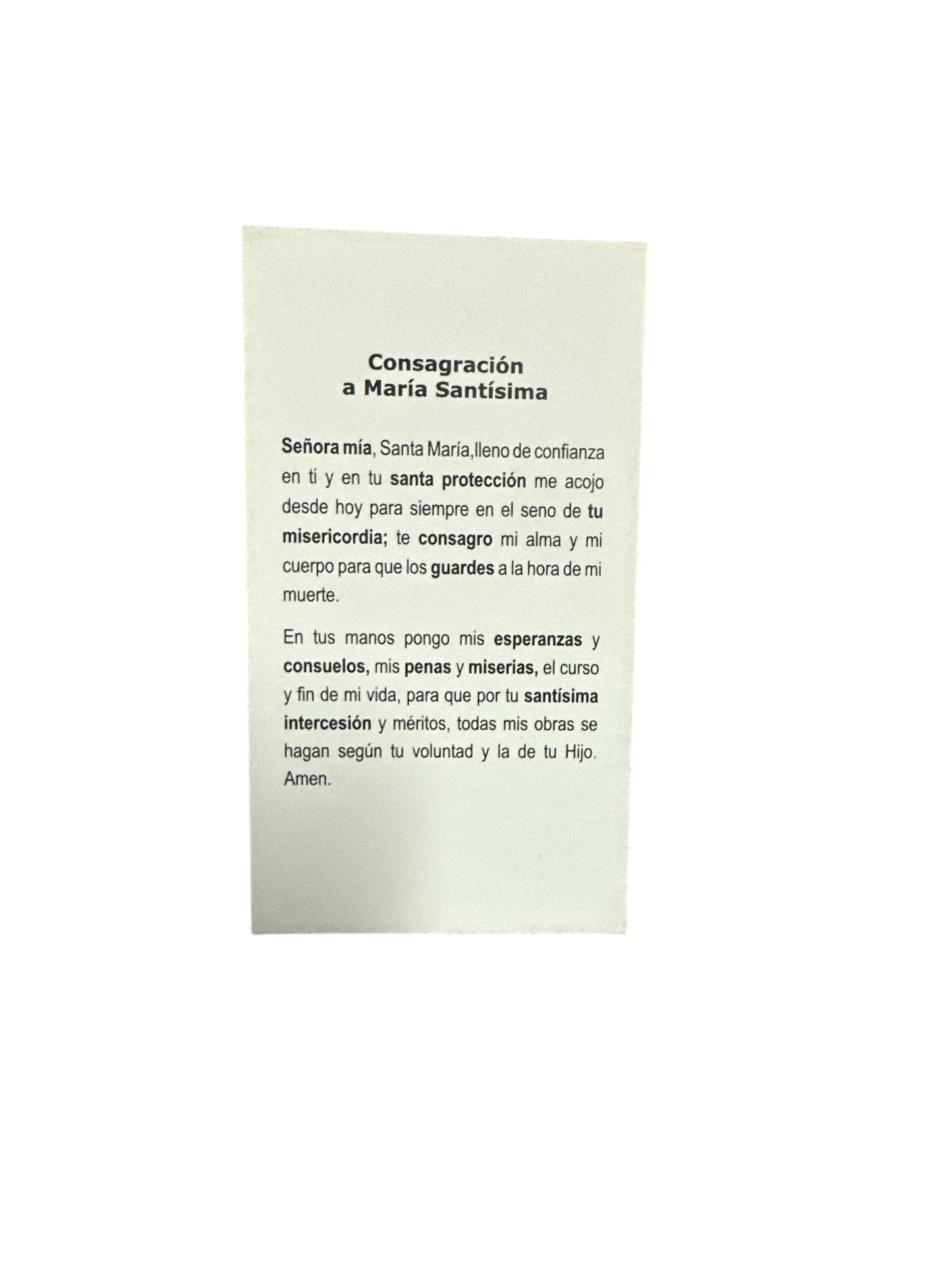 Prayer Card  María Santísima 4"x 2"