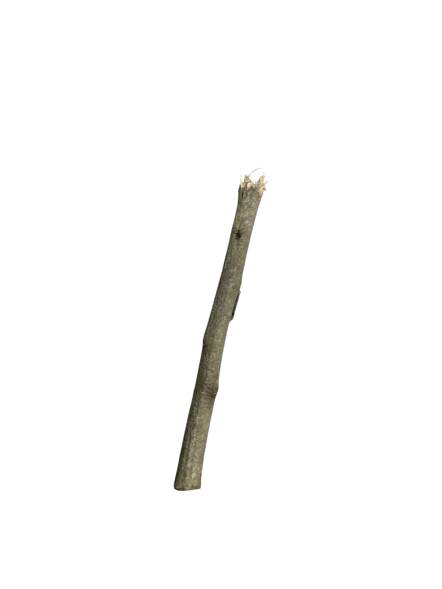 Stick 2"-6"