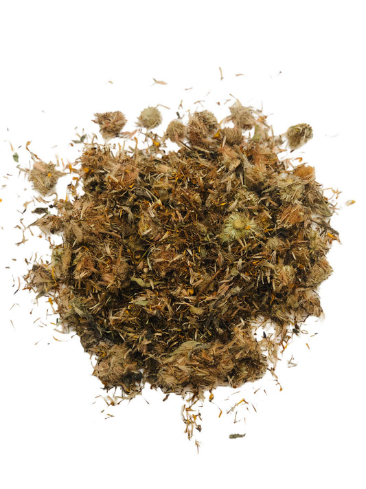 Dried Arnica