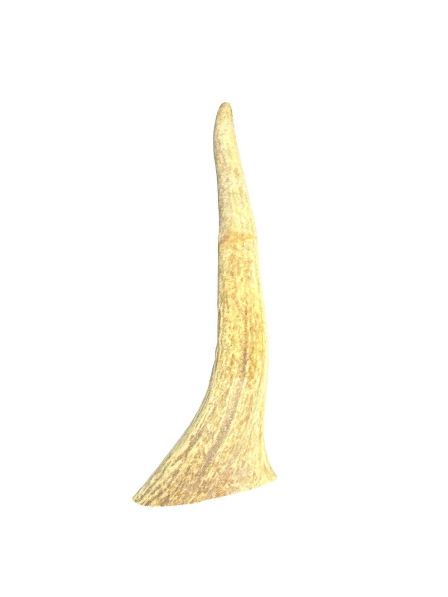 Irofa (Undecorated Deer Jar)