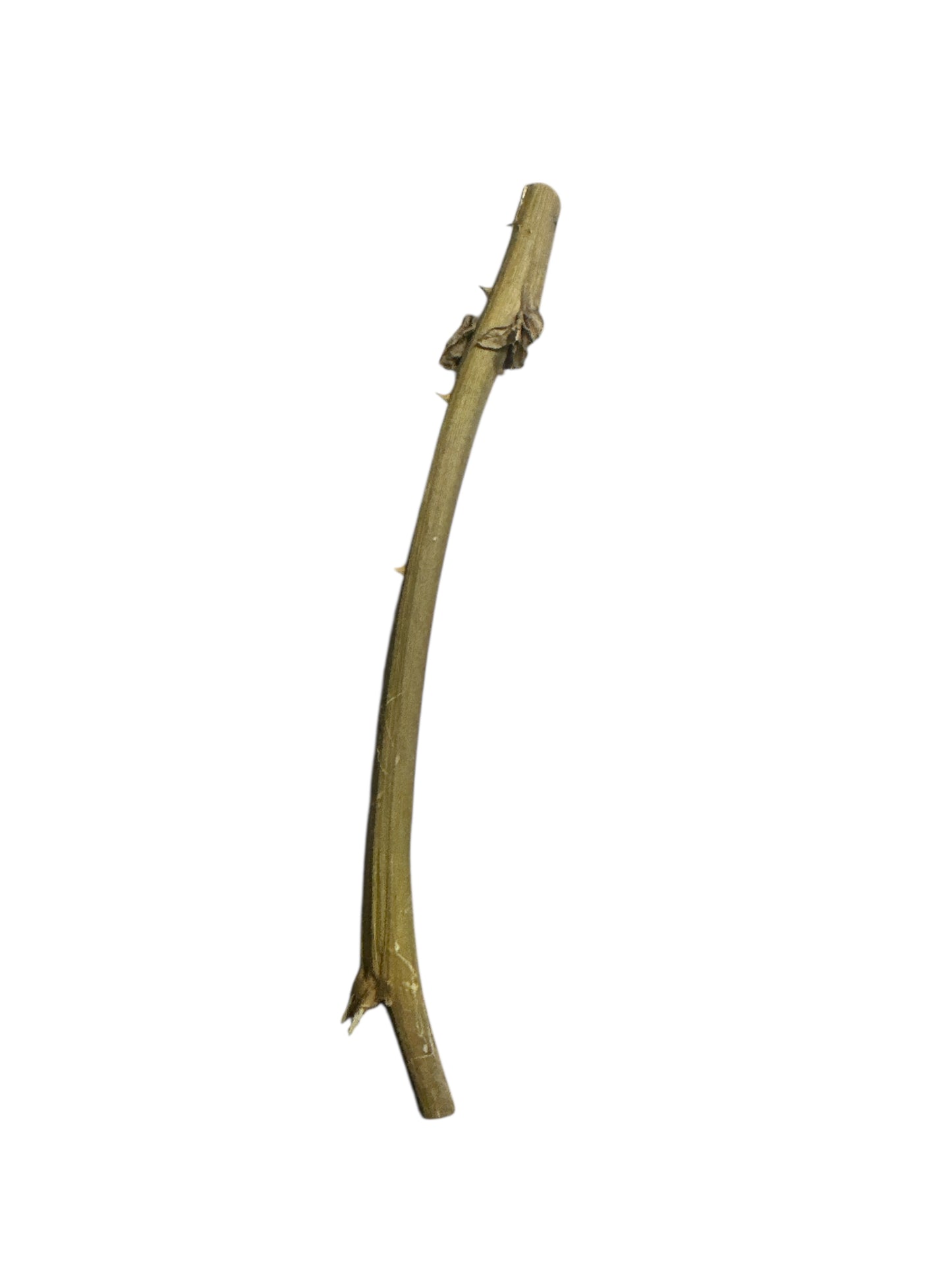 Stick 2"-6"