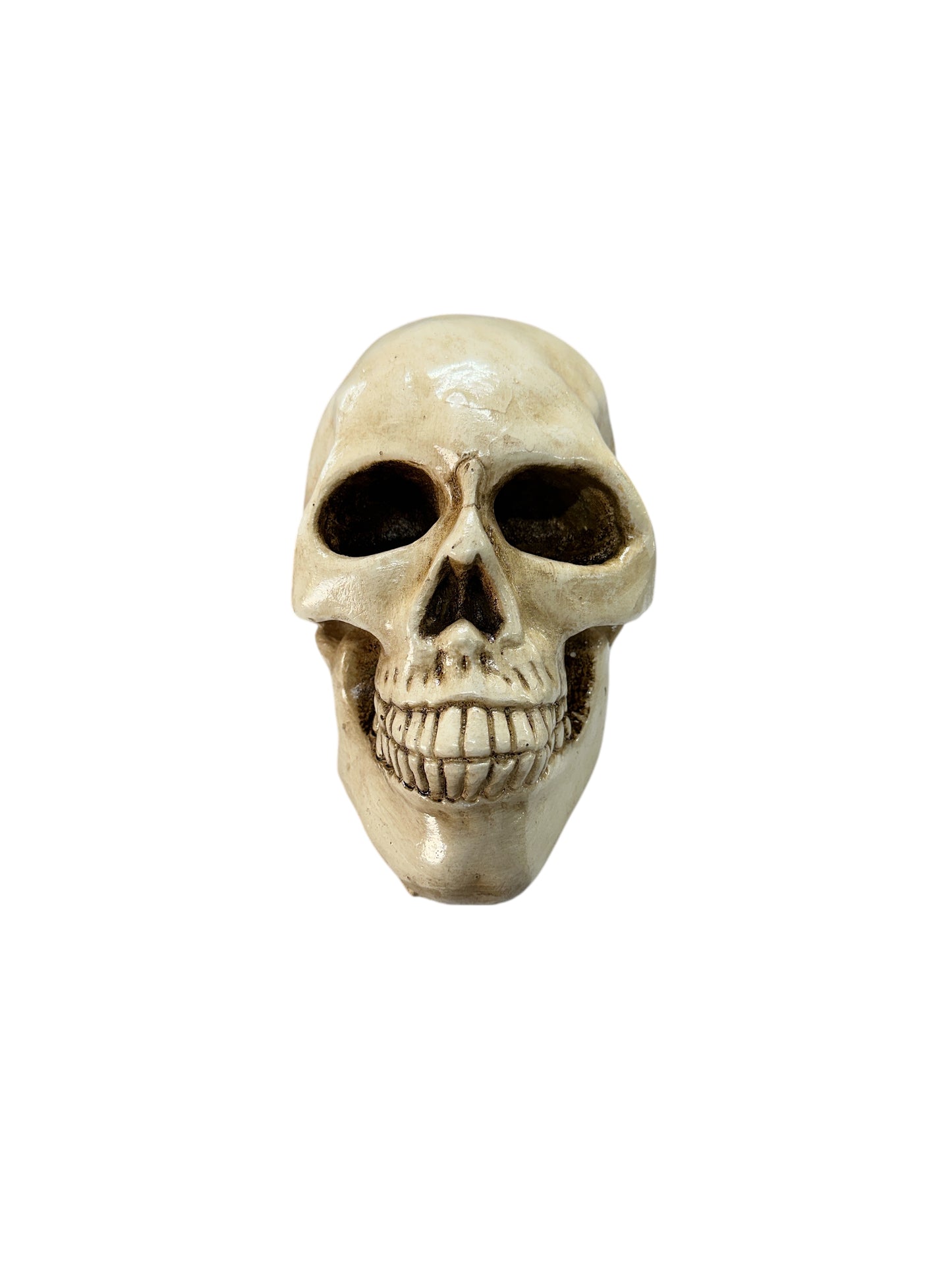 Plaster Skull (Calavera) 7"