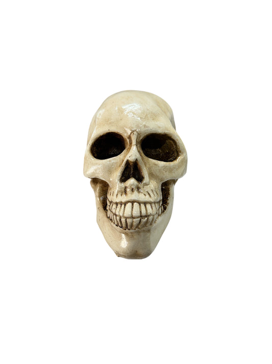 Plaster Skull (Calavera) 7"