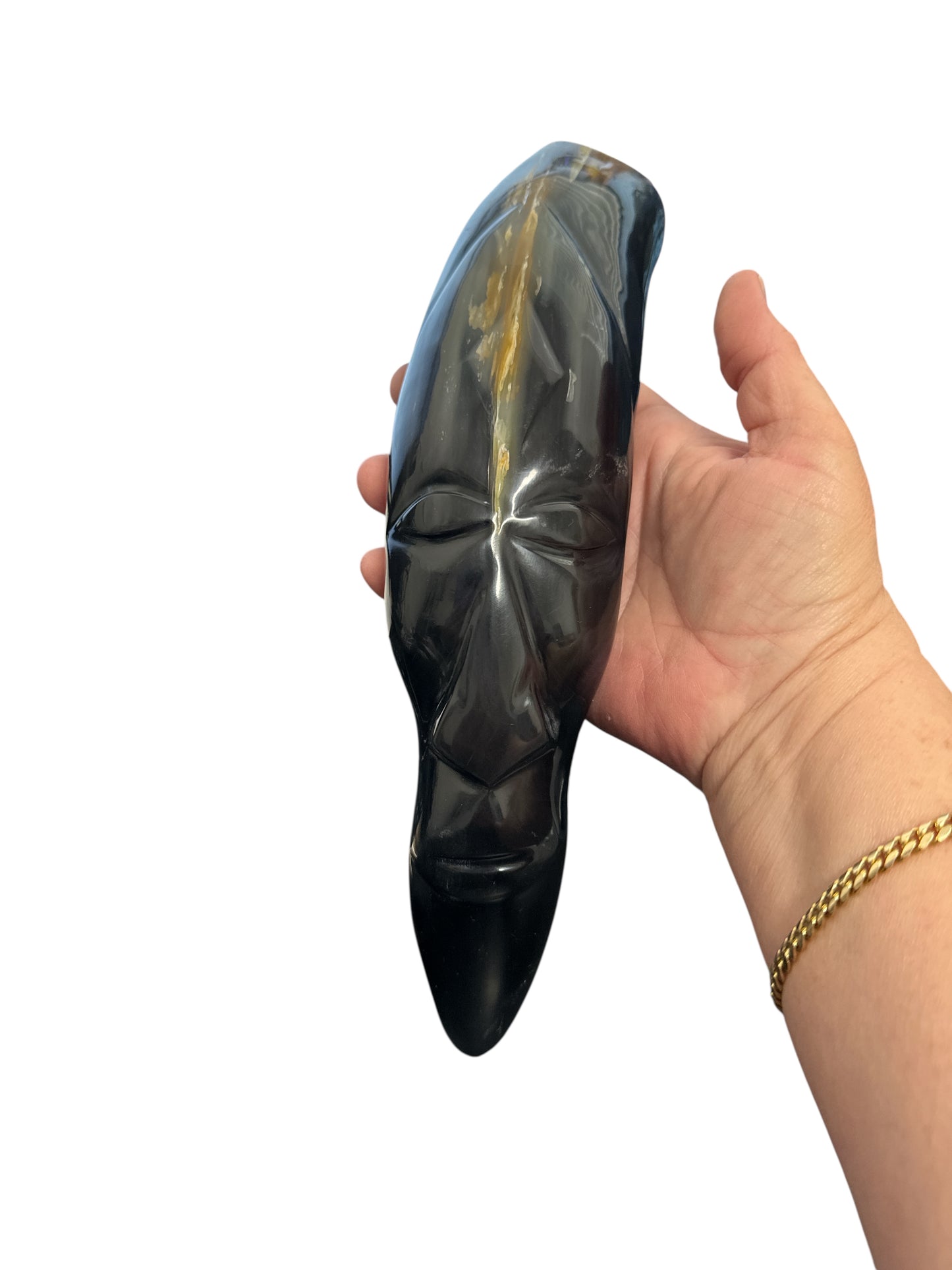 Polished Bull Horn 14"-15" (2 pieces) Oke