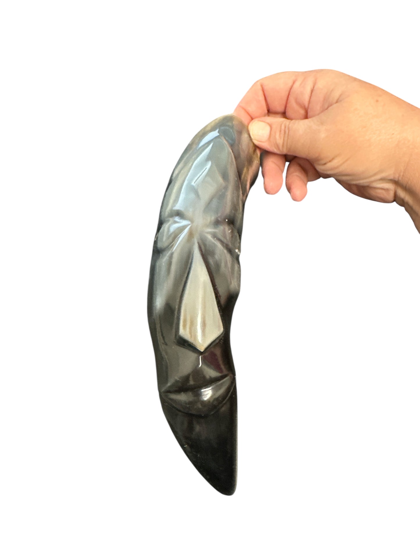 Bull Horn 10"-12" (1 piece)