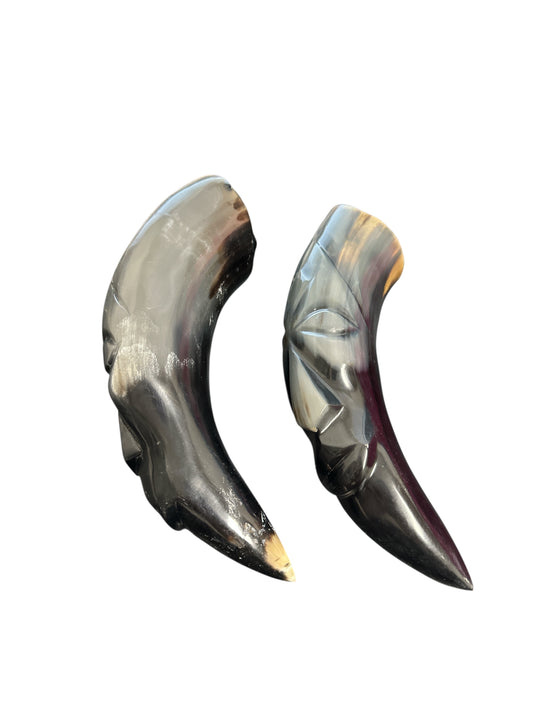 Bull Horn 10"-12" (1 piece)
