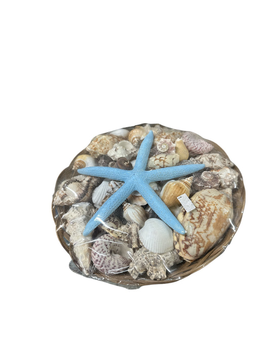 Olokun Snail Basket (Carga Olokun)