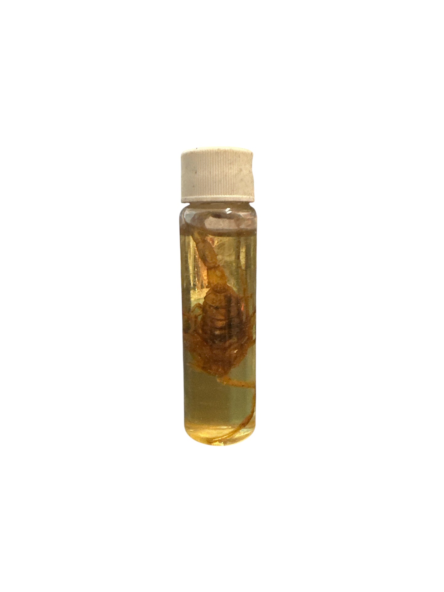 Scorpion oil