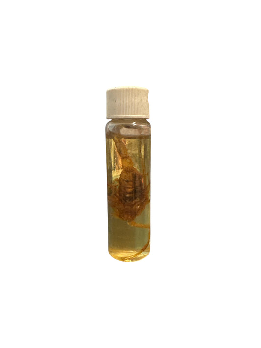 Scorpion oil
