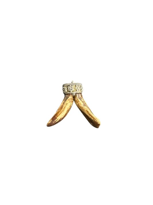 Buffalo Tooth (Diente Bufalo)