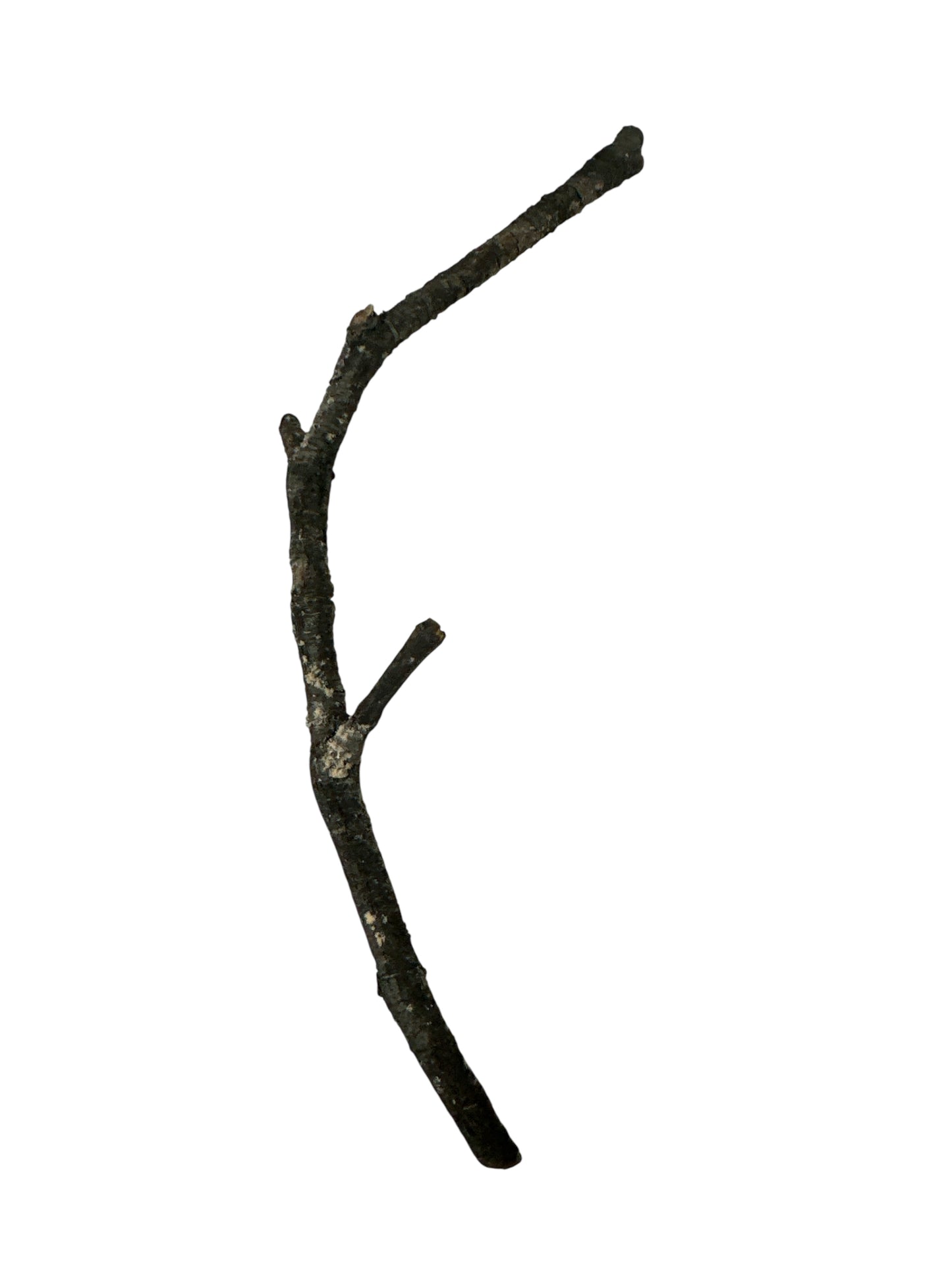 Stick 2"-6"