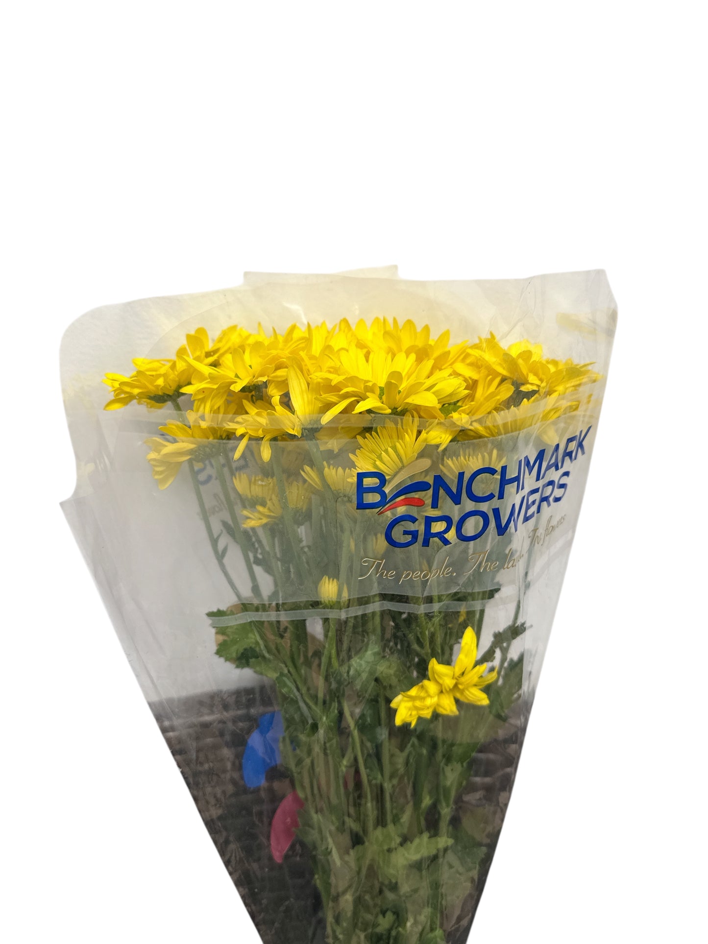 Fresh Bunche of yellow flowers