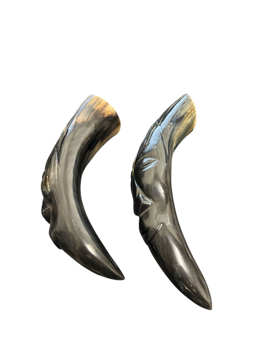 Polished Bull Horn 14"-15" (2 pieces) Oke