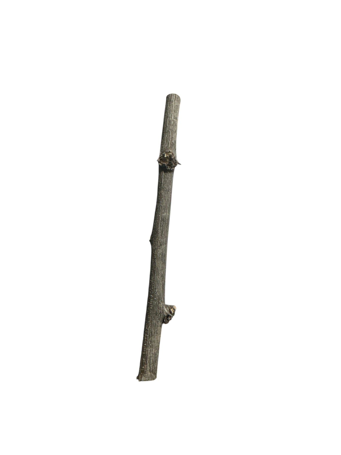 Stick 2"-6"