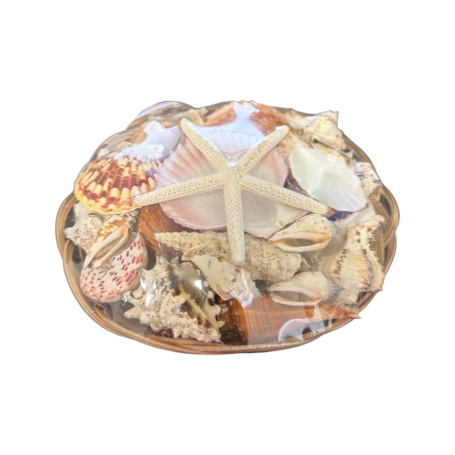 Shell Basket ( Religious Use and Spiritual Decor) 8" diameter