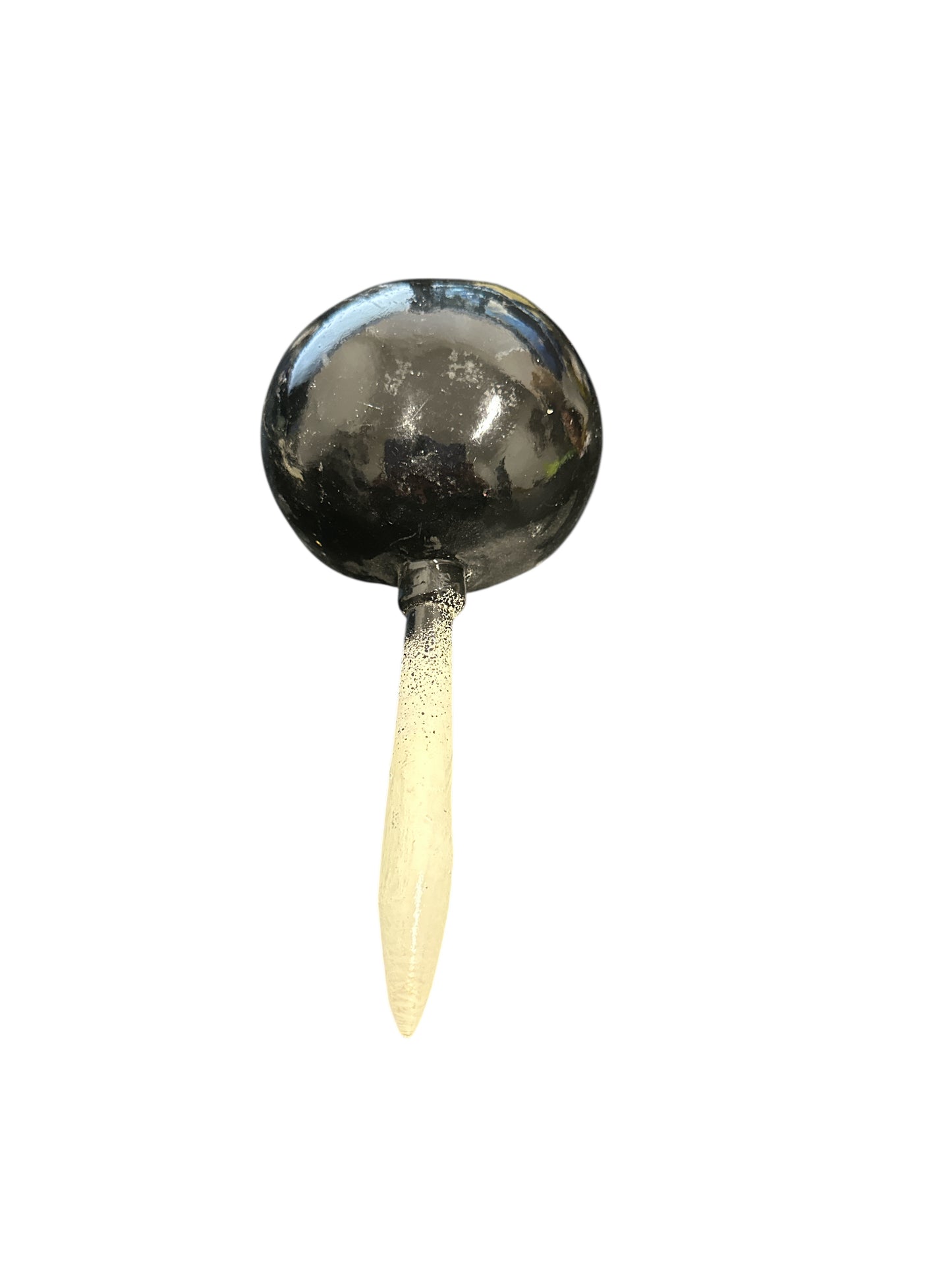 Painted Guira Maraca