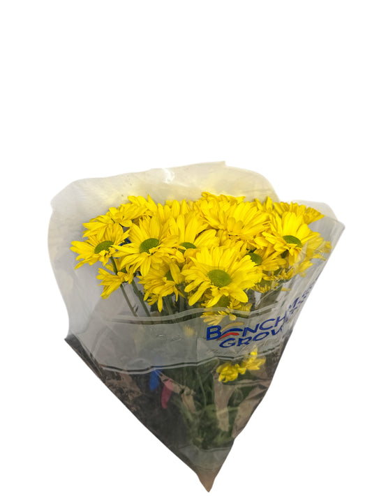 Fresh Bunche of yellow flowers