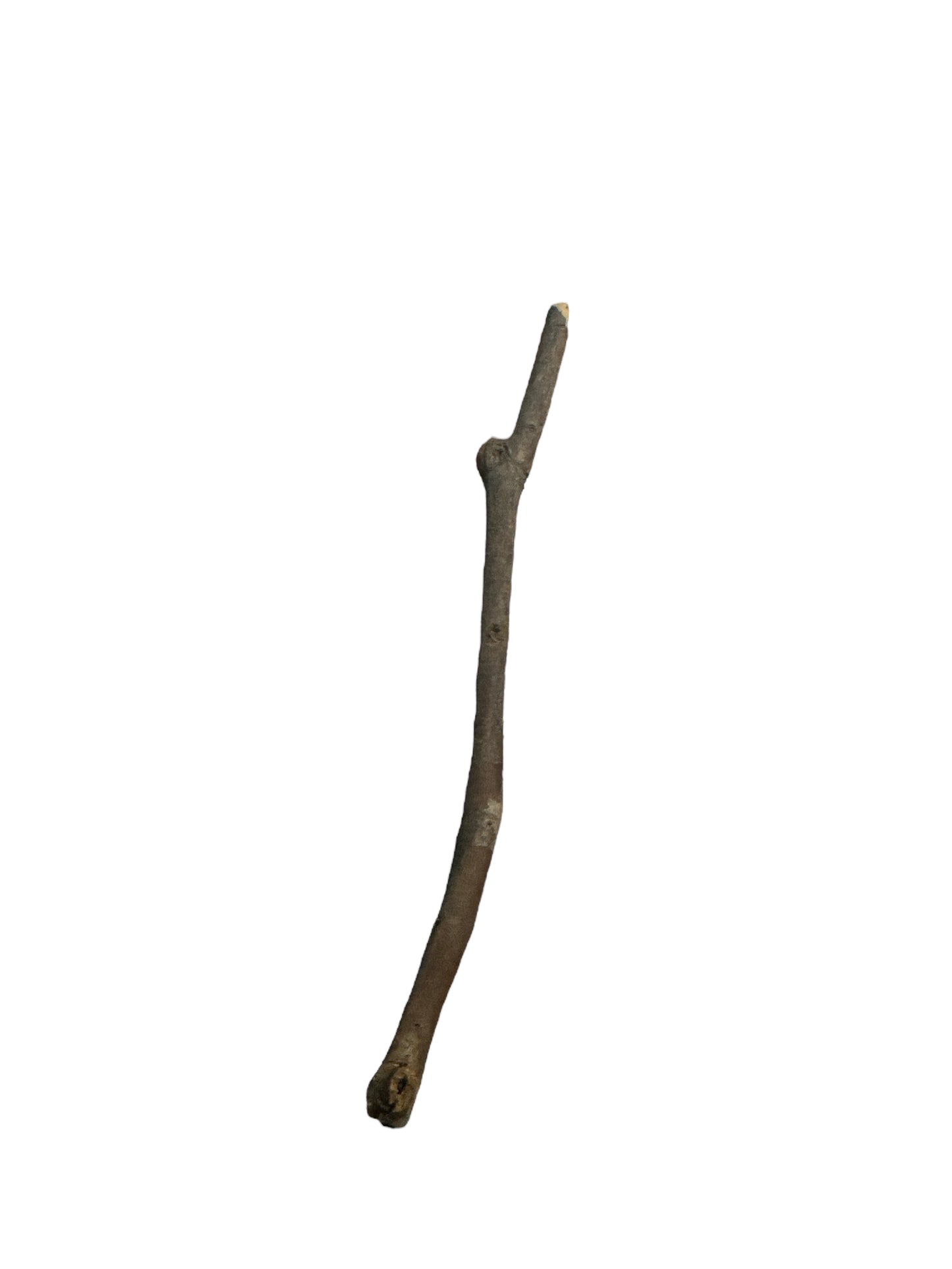 Stick 2"-6"