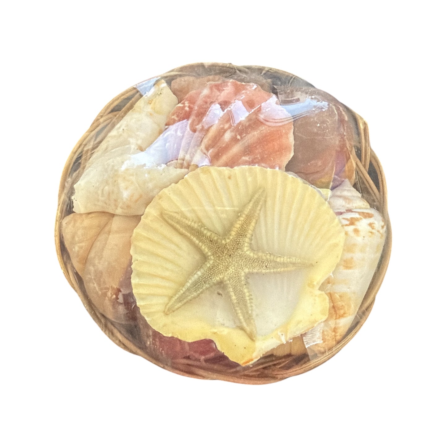 Shell Basket (Religious Use and Spiritual Decor) 4" diameter