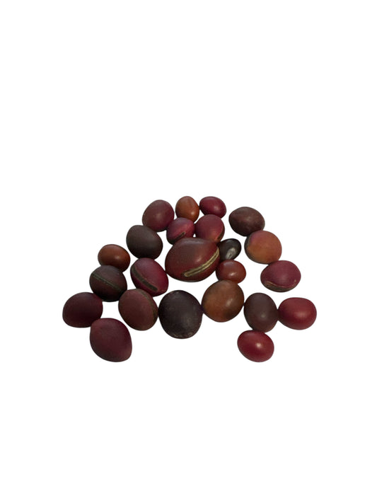 Red Mate Seed