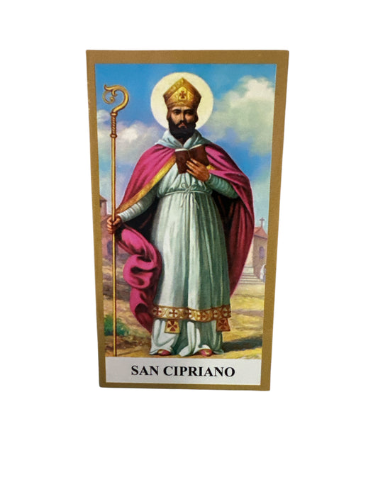 Prayer Card San Cipriano 4"x 2"