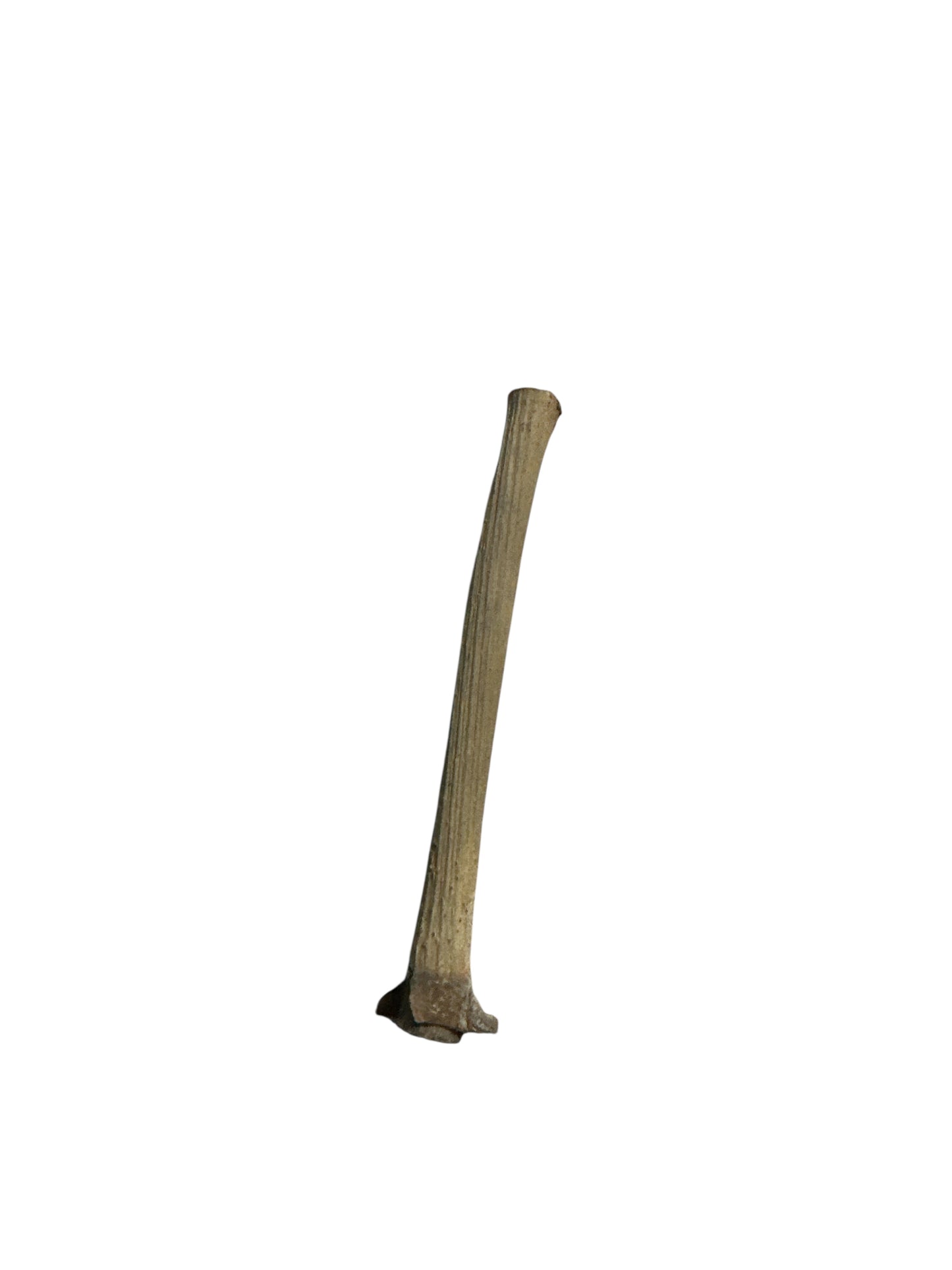 Stick 2"-6"