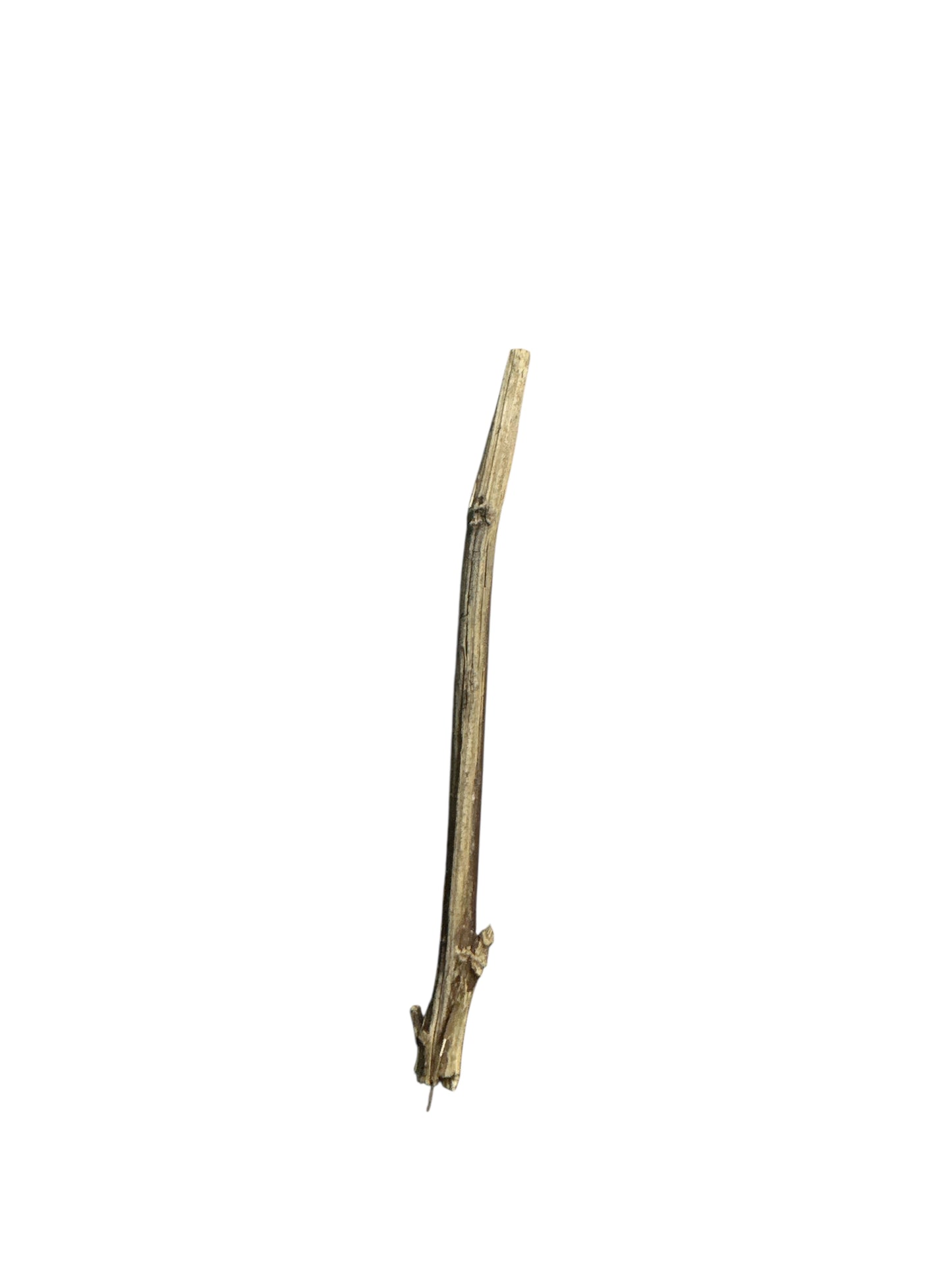 Stick 2"-6"