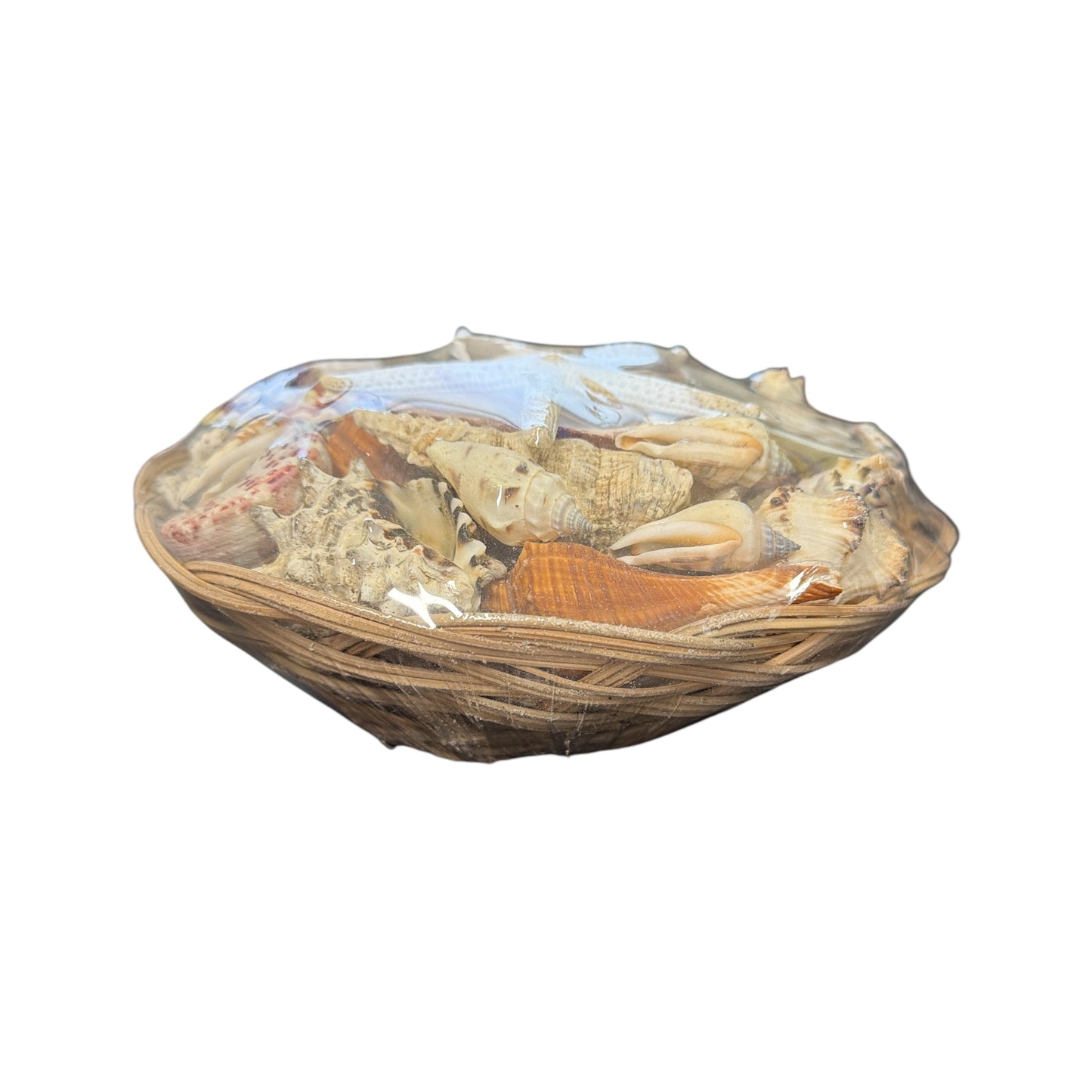 Shell Basket ( Religious Use and Spiritual Decor) 8" diameter