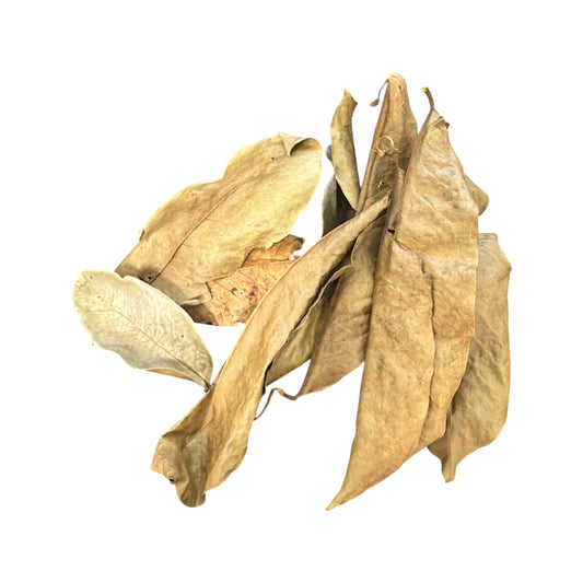 Organic Dried Soursop leaves 2.5 oz