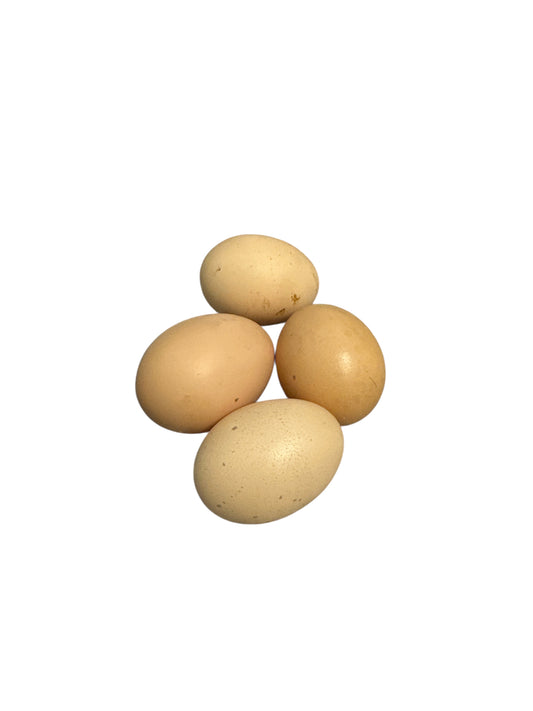 Hen Egg (1 Unit)