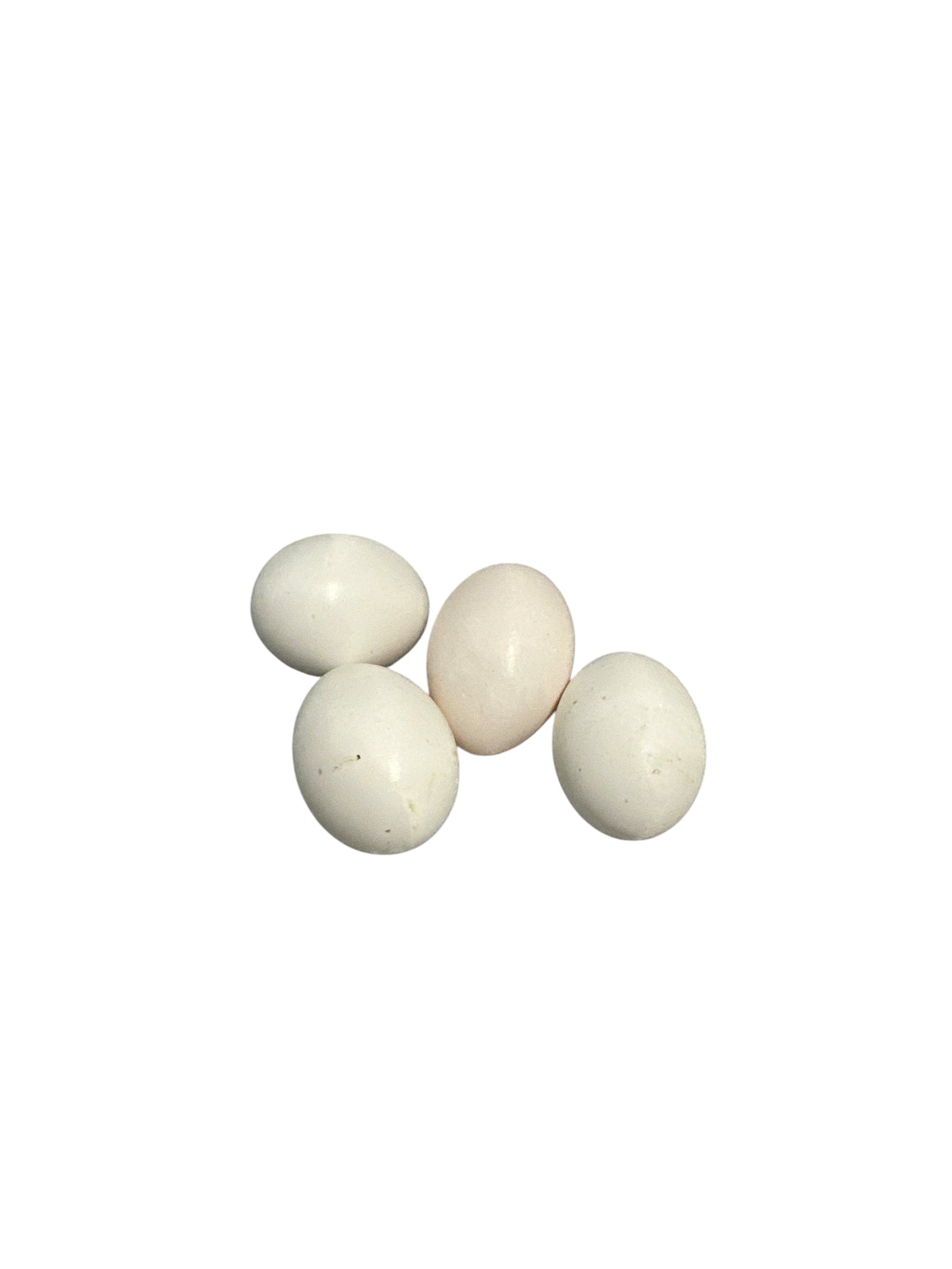 Dove Egg (1 unit)