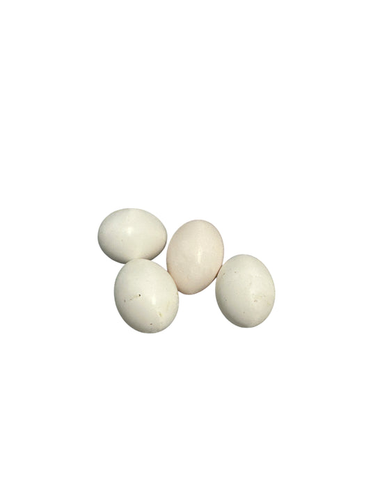 Dove Egg (1 unit)