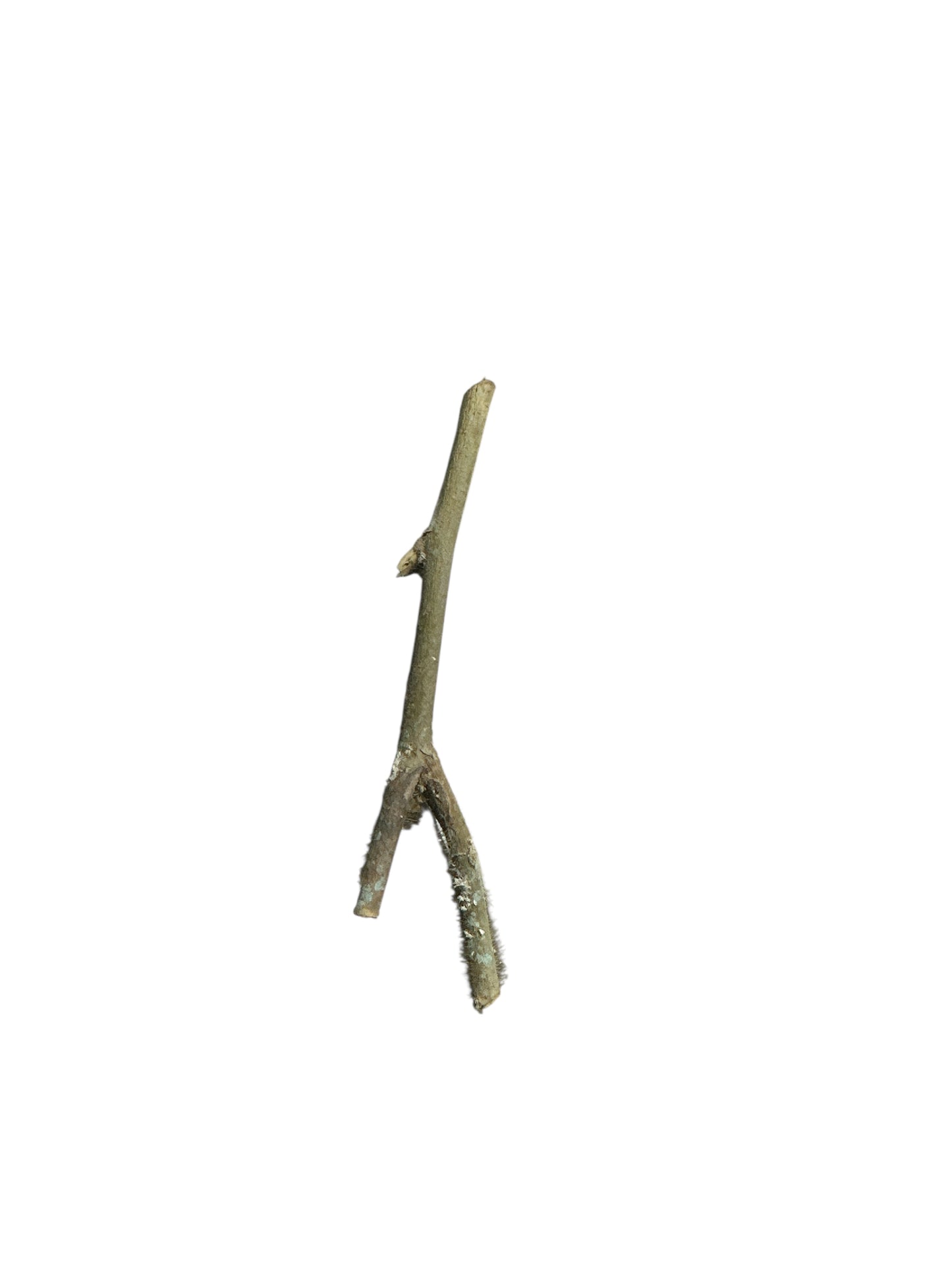 Stick 2"-6"