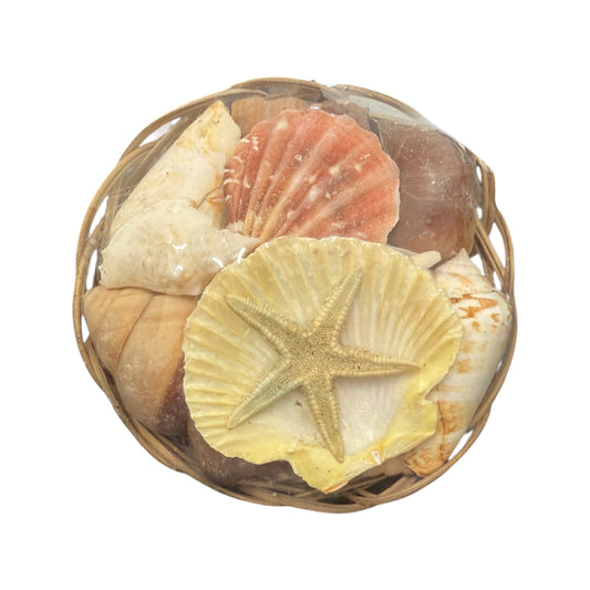 Shell Basket (Religious Use and Spiritual Decor) 4" diameter