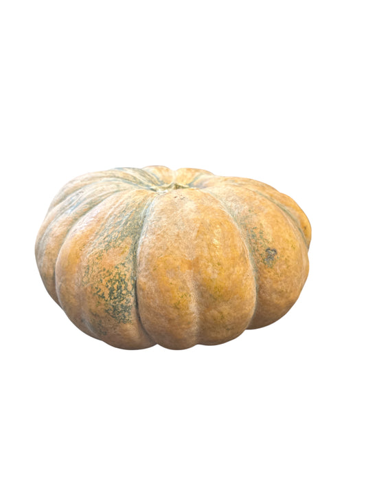 Round Pumkin