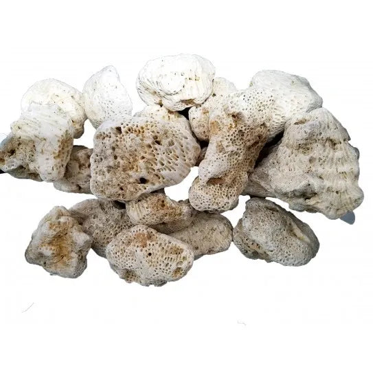 Coral Stone